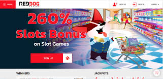 Are Online Slots Tournaments Worth The Effort-